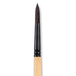 Princeton Catalyst Polytip Brush - Round, Size 10, Short Handle close up