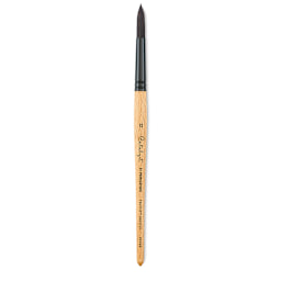 Princeton Catalyst Polytip Brush - Round, Size 12, Short Handle