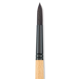 Princeton Catalyst Polytip Brush - Round, Size 12, Short Handle close up