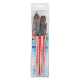 Dynasty Water Lily Watercolor Brushes - Set 11, Set of 3, brushes inside of the packaging