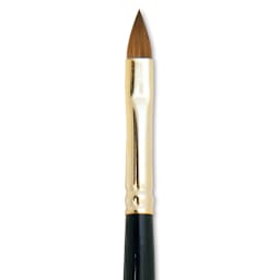 Silver Brush Renaissance Red Sable Brush - Cat's Tongue, Long Handle, Size 6 close up