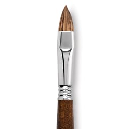 Escoda Versatil Brush - Filbert, Size 14, Long Handle close up