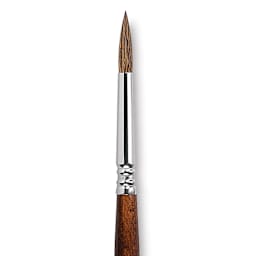 Escoda Versatil Brush - Pointed Round, Size 8, Short Handle close up