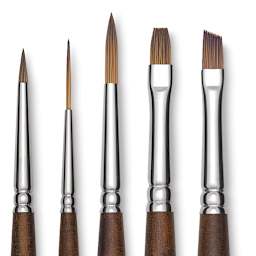 Raphaél Precision Brushes - Closeup of 5 different types of brushes shown