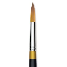Kingart Original Gold Brush - Round, Size 14, Short Handle (close-up)