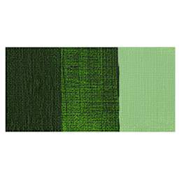 Matisse Flow Acrylic Paint - Australian Sap Green swatch