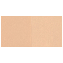 Golden SoFlat Matte Acrylic Paint - Titan Mars Pale swatch