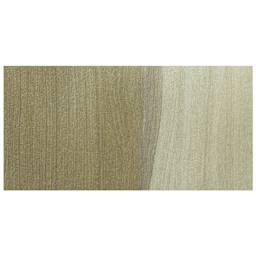 Golden Paintworks Mural and Theme Acrylic Paint - Iridescent Champagne swatch