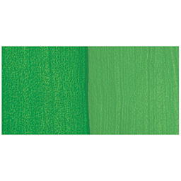 Alpha6 Alphakrylic Acrylic Paint - Monster Green swatch