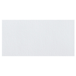 Liquitex Basics Acrylic Fluid Paint - Titanium White swatch