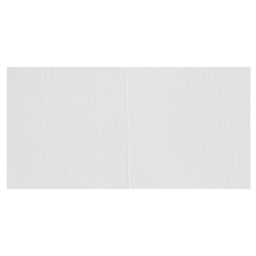 Liquitex Basics Acrylic Fluid Paint - Transparent Mixing White swatch