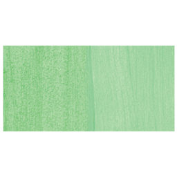 Liquitex Basics Acrylic Fluid Paint - Fluorescent Green swatch