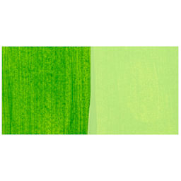 Chroma Craft Colors Acrylic Paint - Cactus, swatch only