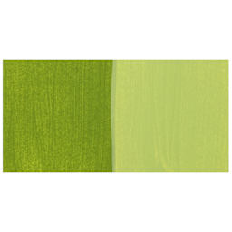 Chroma Craft Colors Acrylic Paint - Fern, swatch only