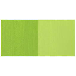 Chroma Craft Colors Acrylic Paint - Spring Green, swatch