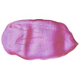 FolkArt Color Shift Paint - Pink Flash,  swatch