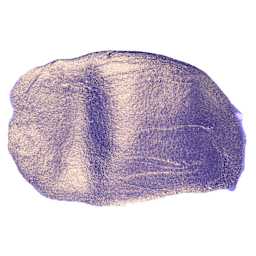 FolkArt Color Shift Paint - Blue Violet Flash, swatch