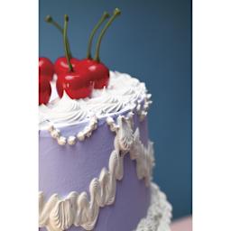 DecoArt Love Color Frosting Acrylic used ot decorate a fake cake.