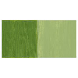 FolkArt Multi-Surface Acrylic Paint - Fresh Cut Grass swatch