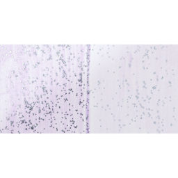 Testors Craft Acrylic Paint - Lavender Mist swatch