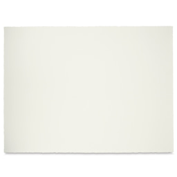 Blick Premier Watercolor Paper - full sheet of Cold Press shown