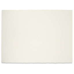 Blick Premier Watercolor Paper - 22" x 30", Cold Press, 140 lb, Pkg of 5 Sheets