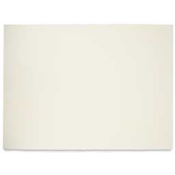 Blick Premier Watercolor Paper - full sheet of Hot Press shown