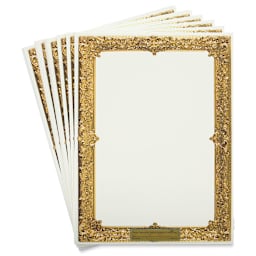 Pacon Art1st Gold Frame Watercolor Paper - 9" x 12" Frames shown in fan