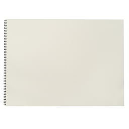 Fabriano 1264 Drawing Pad, 18 inx24 in, 90 lb, 20 Sheets, 100% Alpha-Cellulose, Drawing & Illustration
