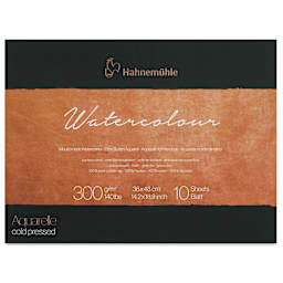 Hahnemühle The Collection Watercolor Block - Cold Press, 14.1" x 18.9", 140 lb, 10 Sheets front cover