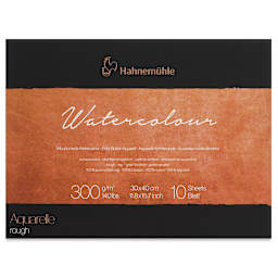Hahnemühle The Collection Watercolor Block - Rough, 11.8" x 15.7", 140 lb, 10 Sheets front cover