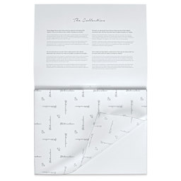 Hahnemühle The Collection Watercolor Block - Rough, 11.8" x 15.7", 140 lb, 10 Sheets cover sheet on block