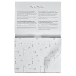 Hahnemühle The Collection Watercolor Block - Cold Press, 9.4" x 12.6", 300 lb, 10 Sheets cover sheet on block