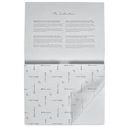 Hahnemühle The Collection Watercolor Block - Cold Press, 11.8" x 15.7", 300 lb, 10 Sheets cover sheet on block