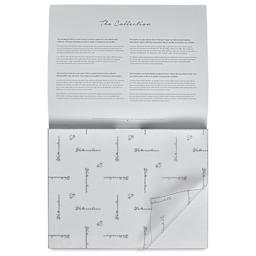 Hahnemühle The Collection Watercolor Block - Rough, 9.4" x 12.6", 300 lb, 10 Sheets cover sheet on block