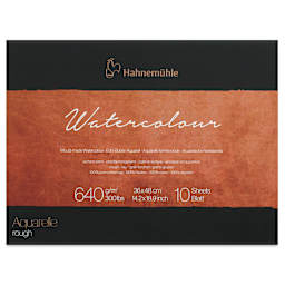 Hahnemühle The Collection Watercolor Block - Rough, 14.1" x 18.9", 300 lb, 10 Sheets front cover
