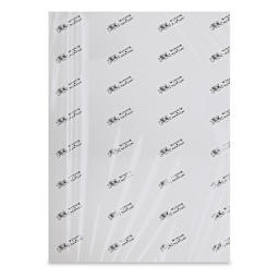 Winsor & Newton Professional Watercolor Paper - 22" x 30", Cold Press, 140 lb (shown in package)