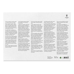 Winsor & Newton Professional Watercolor Block - 10" x 14", Hot Press (back of block)