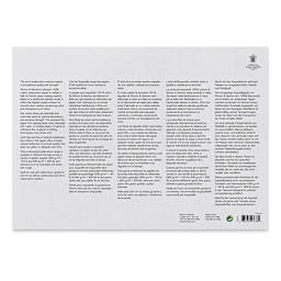 Winsor & Newton Professional Watercolor Block - 10" x 14", Rough Press (back of block)