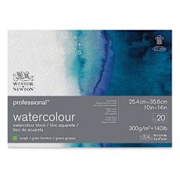 Winsor & Newton Professional Watercolor Block - 10" x 14", Rough Press