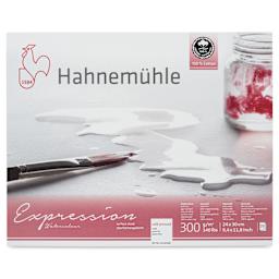 Hahnemühle Expressions Watercolor Block - 9.5" x 11.8", 20 Sheets, 300 gsm - front
