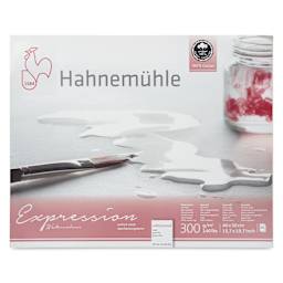 Hahnemühle Expressions Watercolor Block - 15.7" x 19.7", 20 Sheets, 300 gsm - front
