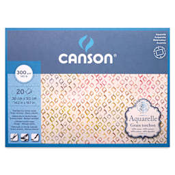 Canson Aquarelle Block - Blick Exclusive! 14.2" x 19.7", Rough Press, front cover