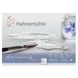 Hahnemühle Harmony Watercolor Block - 7" x 10", Rough, front cover