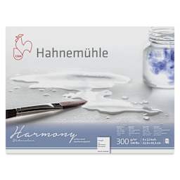 Hahnemühle Harmony Watercolor Block - 9" x 12", Rough, front cover