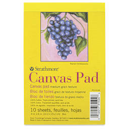 Strathmore 300 Series Cotton Canvas Pad - 4" x 6", 10 Sheets, front cover