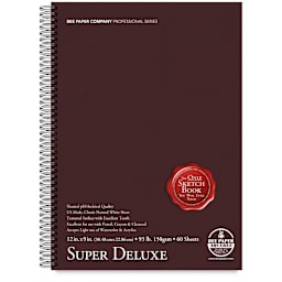 Bee Paper Aquabee Super Deluxe Sketchbook - 12" x 9", 60 Sheets