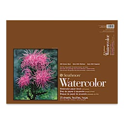 Strathmore 400 Series Watercolor Block - 15" x 20", 15 Sheets