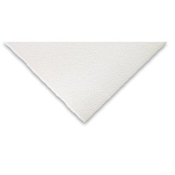 Saunders Waterford Watercolor Paper - 22" x 30", White, 200 lb,  Cold Press, Single Sheet