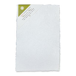 Shizen Professional Watercolor Paper - 12" x 18", Cold Press/Rough, Pkg of 5 Sheets